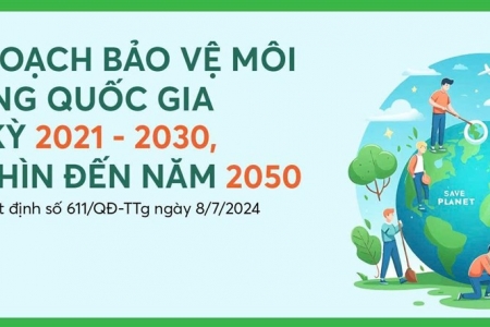 Cà Mau thực hiện Quy hoạch bảo vệ môi trường quốc gia