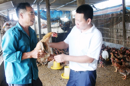 Chung tay hỗ trợ nông dân phục hồi sản xuất chăn nuôi và thủy sản sau bão, lũ