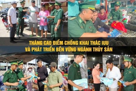 Cà Mau triển khai Tháng cao điểm chống khai thác IUU và phát triển bền vững ngành thủy sản