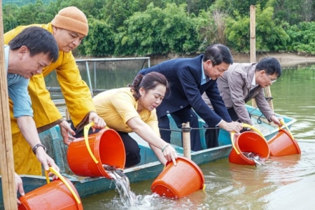 Thả hơn 2 tấn cá giống tái tạo nguồn lợi thủy sản tại lòng hồ Thủy điện Châu Thắng