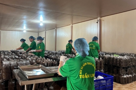 Đẩy mạnh chuyển đổi số, nâng cao năng lực cạnh tranh cho hợp tác xã tại Quảng Trị