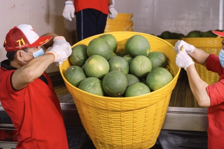 Gần 4.000 mã sản phẩm nông sản, thực phẩm Việt Nam được Trung Quốc phê duyệt xuất khẩu