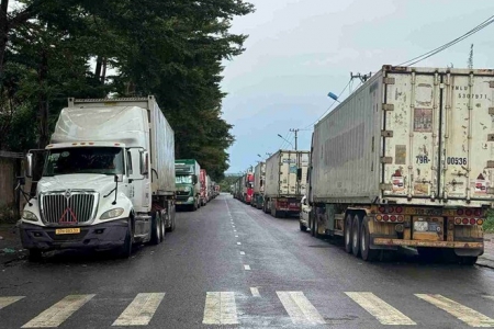 Đang làm rõ nguyên nhân vụ 'tắc' gần 2.000 container sầu riêng