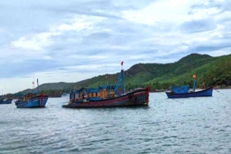 Đắk Lắk: Xử lý người đứng đầu nếu để xảy ra vi phạm chống khai thác IUU