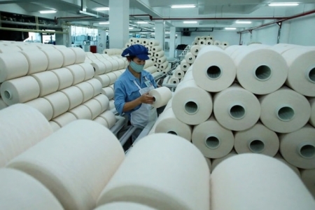 Sợi Thế Kỷ (STK) báo lãi ròng quý III/2025 chỉ hơn 10 tỷ đồng, giảm mạnh 87%