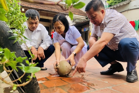 Hà Nội: Số ca mắc sốt xuất huyết sắp chạm mốc 400 ca/tuần