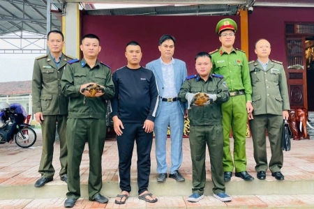 Hà Tĩnh: Bàn giao 2 cá thể rùa viền quý hiếm để thả về môi trường tự nhiên