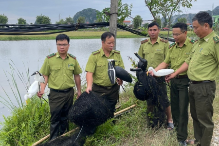 Hải Phòng tăng cường công tác tuần tra, xử lý tình trạng săn, bẫy, bắt chim hoang dã di cư trái pháp luật