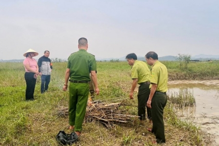 Nghệ An siết chặt quản lý, ngăn chặn vi phạm về động vật hoang dã và nguồn lợi thủy sản