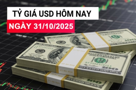 Tỷ giá USD hôm nay 31/10: Trong nước tăng nhẹ, trung tâm vẫn ở 25.091 đồng/USD