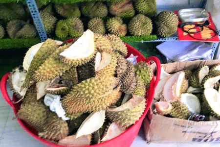 Vỏ sầu riêng không còn là rác: Sinh viên biến 450.000 tấn phế phẩm thành phân bón hữu cơ và thức ăn chăn nuôi