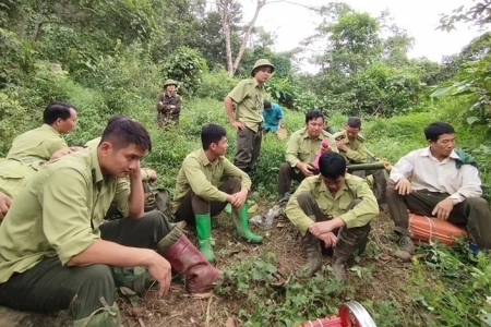 Thanh Hóa tinh gọn hệ thống sự nghiệp công lập trong lĩnh vực nông nghiệp và môi trường
