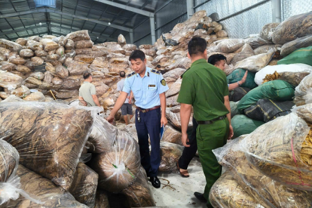 Cao Bằng: 10 năm đấu tranh chống buôn lậu thuốc lá, chuyển xử lý hình sự nhiều vụ việc nghiêm trọng