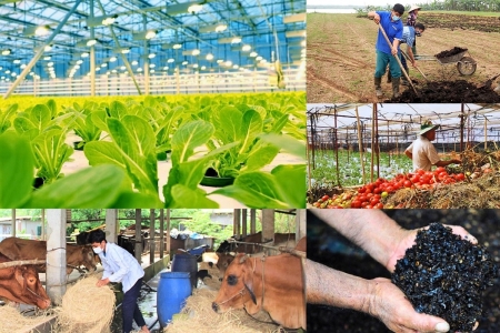 Nông nghiệp carbon thấp – Chìa khóa mở cánh cửa kinh tế xanh cho Việt Nam