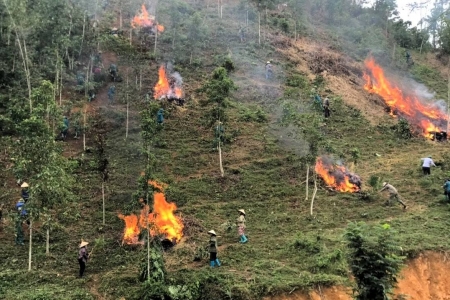 Lào Cai tăng cường công tác quản lý, bảo vệ rừng; phòng cháy, chữa cháy rừng năm 2025