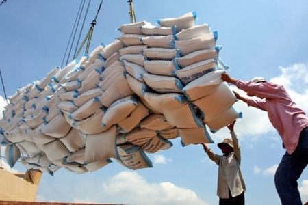 Xuất khẩu gạo Việt Nam chững lại, chờ tín hiệu phục hồi từ thị trường thế giới