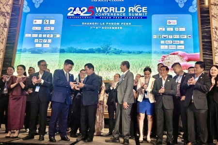 Gạo ST25 lần thứ ba được vinh danh là “Gạo ngon nhất thế giới”