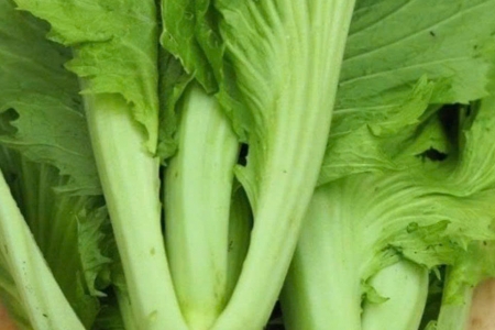 Ít ai biết cải bẹ xanh lại có đến sáu tác dụng tốt cho sức khỏe