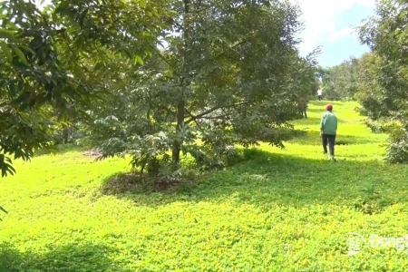 Đồng Nai quy định cụ thể cho phép xây dựng công trình trên đất nông nghiệp