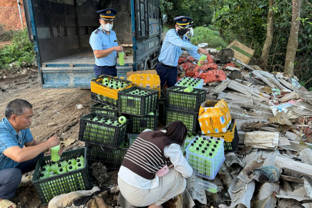 Tuyên Quang: Tiêu hủy 440 chai rượu màu không rõ nguồn gốc xuất xứ