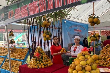 Lễ hội cam Cao Phong 2025: Quảng bá nông sản, trải nghiệm văn hóa và nông nghiệp xanh bền vững