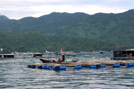 Đắk Lắk tăng cường công tác quản lý nuôi trồng thủy sản