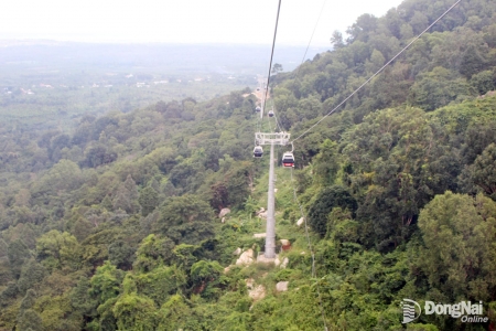 Đồng Nai thu gần 9,5 nghìn tỷ đồng từ đấu giá quyền sử dụng đất