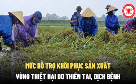 Đồng Tháp ban hành, quy định mức hỗ trợ sản xuất nông nghiệp do thiên tai, dịch bệnh