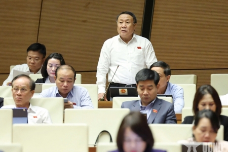 Đại biểu Quốc hội đề nghị rà soát quy định về ghế riêng cho trẻ em trên ô tô