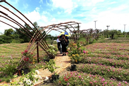 An Giang: Khu thăm quan điện mặt trời An Hảo, giảm giá 40% cho cán bộ ngành giáo dục