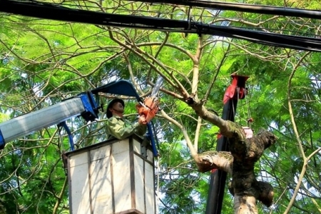 Tổng công ty Điện lực miền Bắc khuyến nghị người dân nâng cao ý thức an toàn điện