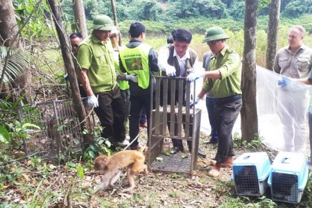 Lào Cai triển khai kế hoạch cao điểm ngăn chặn vi phạm về động vật hoang dã và nguồn lợi thủy sản