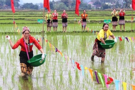 Nghệ An đẩy mạnh công tác giảm nghèo, nâng cao đời sống người dân