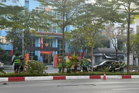 Hà Nội đẩy mạnh trồng cây mùa đông để chuẩn bị cảnh quan Tết