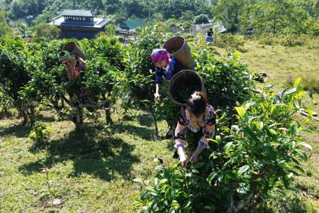 Lào Cai huy động nguồn lực lớn, tạo bứt phá phát triển vùng dân tộc thiểu số và miền núi