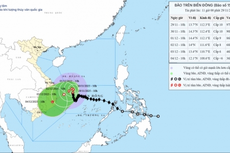 Bão số 15 giảm tốc và có xu hướng suy yếu dần