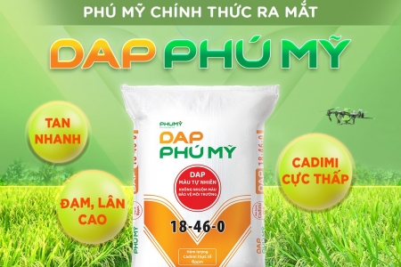 PVFCCo ra mắt DAP Phú Mỹ