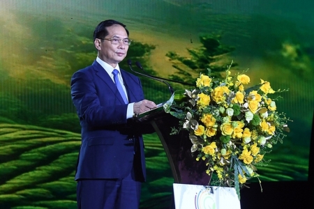 Lâm Đồng tổ chức Lễ hội Trà Quốc tế 2025, kết nối tinh hoa trà toàn cầu