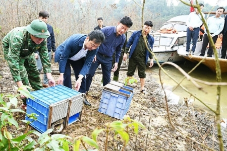 Hà Tĩnh: Tái thả 12 cá thể động vật hoang dã quý hiếm về rừng tự nhiên