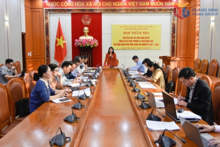 Ban Kinh tế - Ngân sách HĐND tỉnh Quảng Ninh thẩm tra các báo cáo, tờ trình, dự thảo nghị quyết