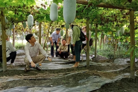 Vai trò của kinh tế tập thể, hợp tác xã trong phát triển kinh tế - xã hội