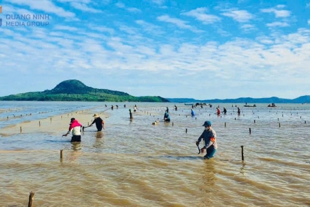 Quảng Ninh lập lại trật tự trong nuôi trồng thủy sản