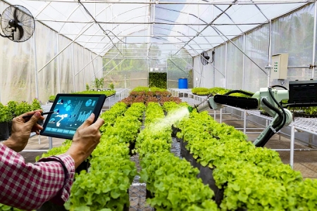 Xây dựng nông thôn mới là một trong những chính sách trọng tâm