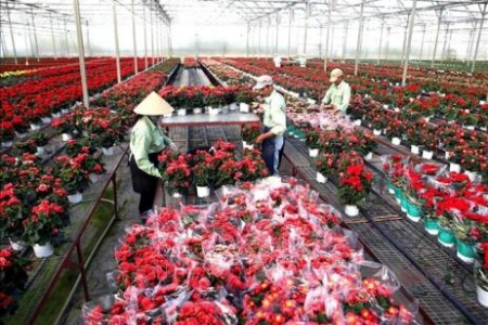 Lâm Đồng: Chương trình Xúc tiến đầu tư năm 2026 tập trung vào các ngành trụ cột chiến lược