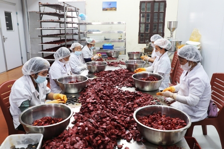 Bắc Ninh: Hơn 175.000 hội viên nông dân đạt danh hiệu “Nông dân sản xuất kinh doanh giỏi” các cấp