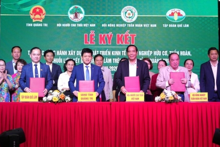 Quảng Trị tăng cường liên kết phát triển nông nghiệp hữu cơ, tuần hoàn giai đoạn 2026 - 2030