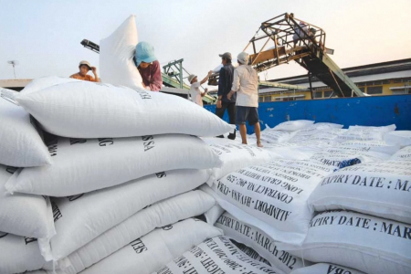 Xuất khẩu gạo Việt Nam giảm mạnh do biến động thị trường Philippines