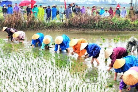 Đà Nẵng: Lễ hội xuống đồng Hội An Đông mang thương hiệu du lịch xanh