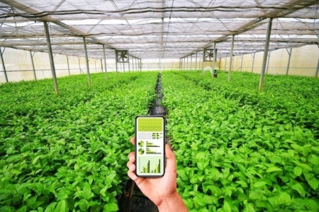 Đẩy mạnh chuyển đổi số trong khu vực kinh tế tập thể, hợp tác xã