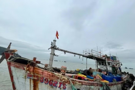 Phát hiện tàu cá vận chuyển khoảng 50.000 lít dầu DO không rõ nguồn gốc